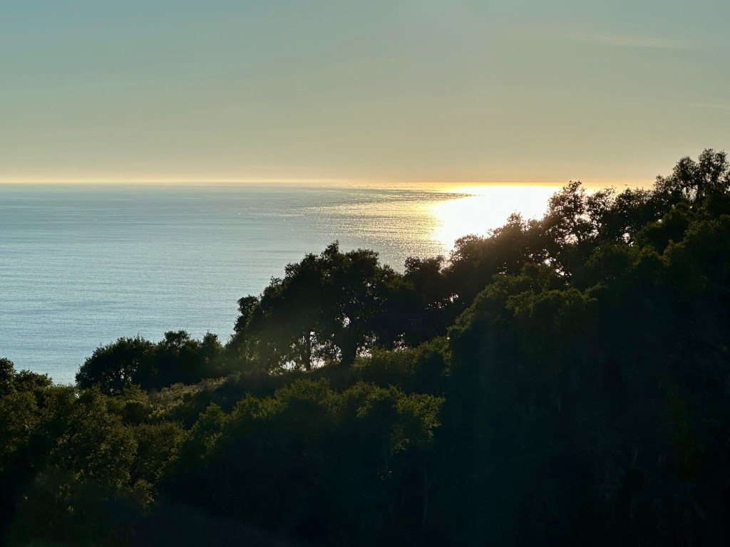 View from Pismo Preserve in Pismo Beach, California. Picture by Happy Vegan Campers.