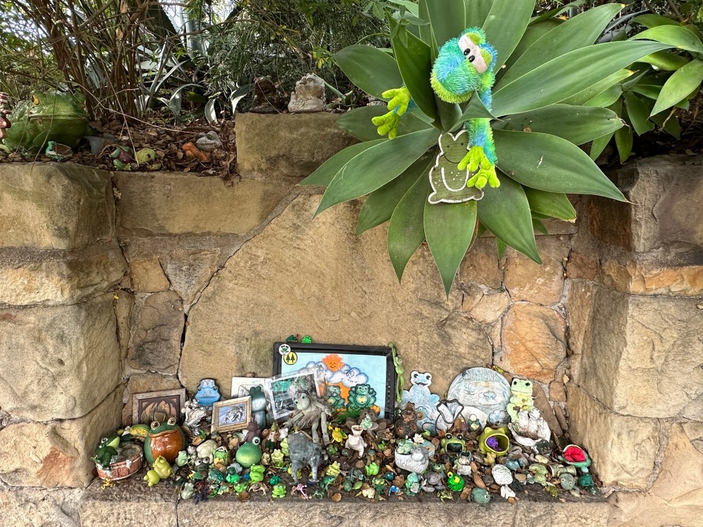 Wall of Frogs in Santa Barbara, California. Picture by Happy Vegan Campers.