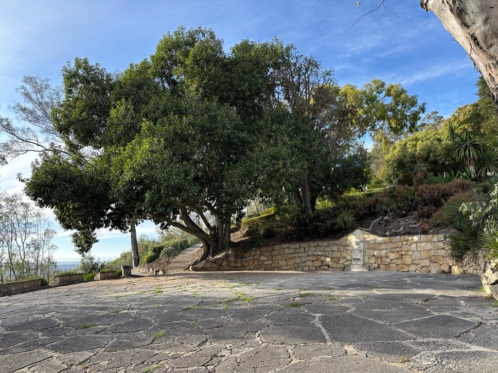 Patio and tree at Franceschi Park in Santa Barbara, California. Picture by Happy Vegan Campers.