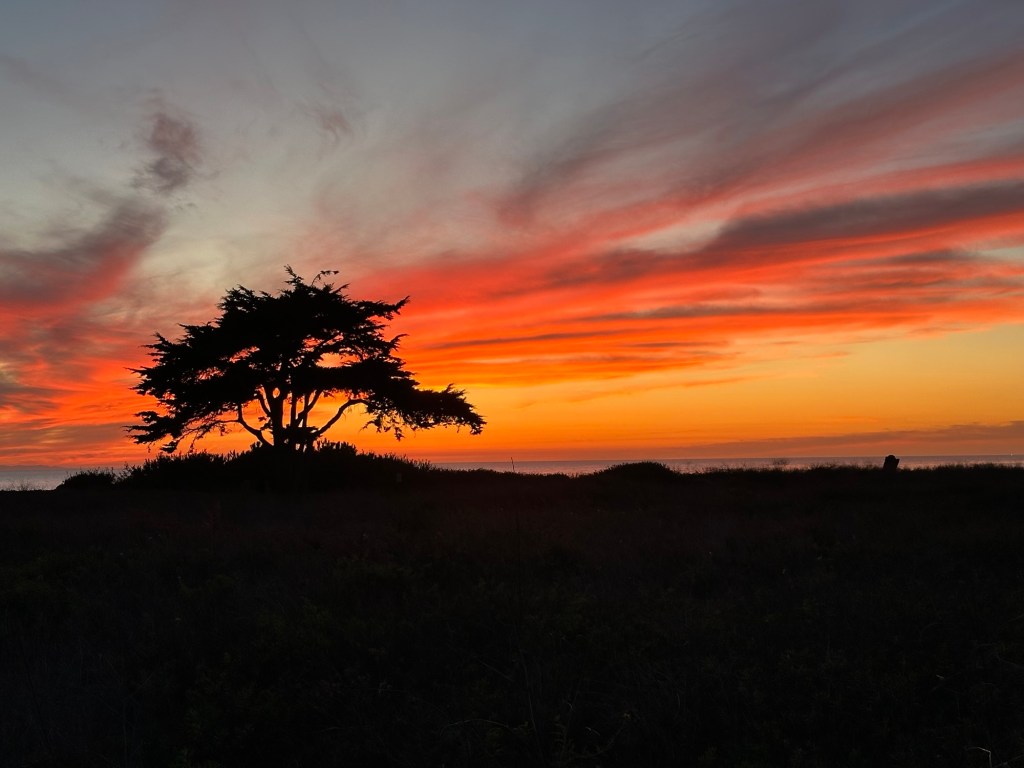 Sunset at Carpinteria State Beach in Carpinteria, California. Picture by Happy Vegan Campers.