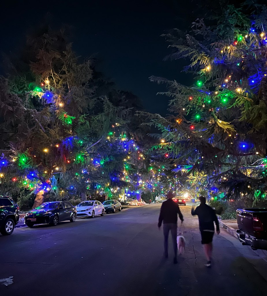 Daniel, Phil, and Peter at Christmas Tree Lane in Altadena, California. Picture by Happy Vegan Campers.