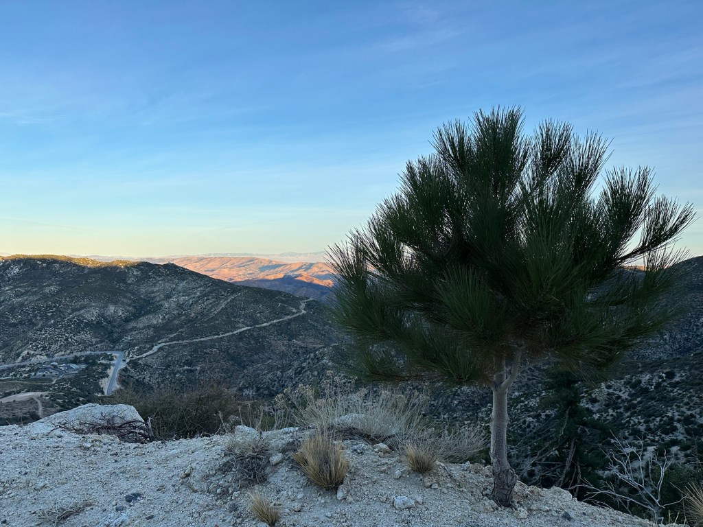 View from a trail near Pacifico Mountain Trailhead in Palmdale, California. Picture by Happy Vegan Campers.