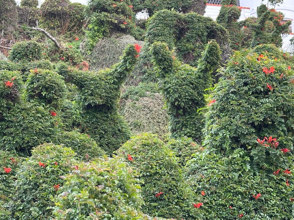 Harper’s Topiary Garden in San Diego, California. Picture by Happy Vegan Campers.