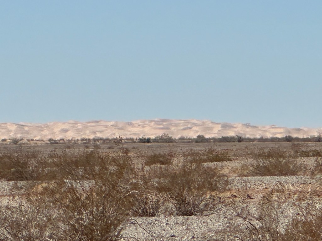 Imperial Sand Dunes in Heber, California. Picture by Happy Vegan Campers.