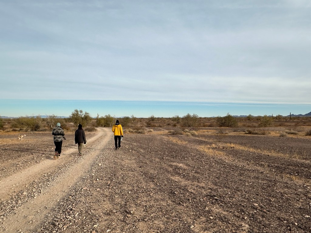 Desert walk on BLM land near Quartzite, Arizona. Picture by Happy Vegan Campers.