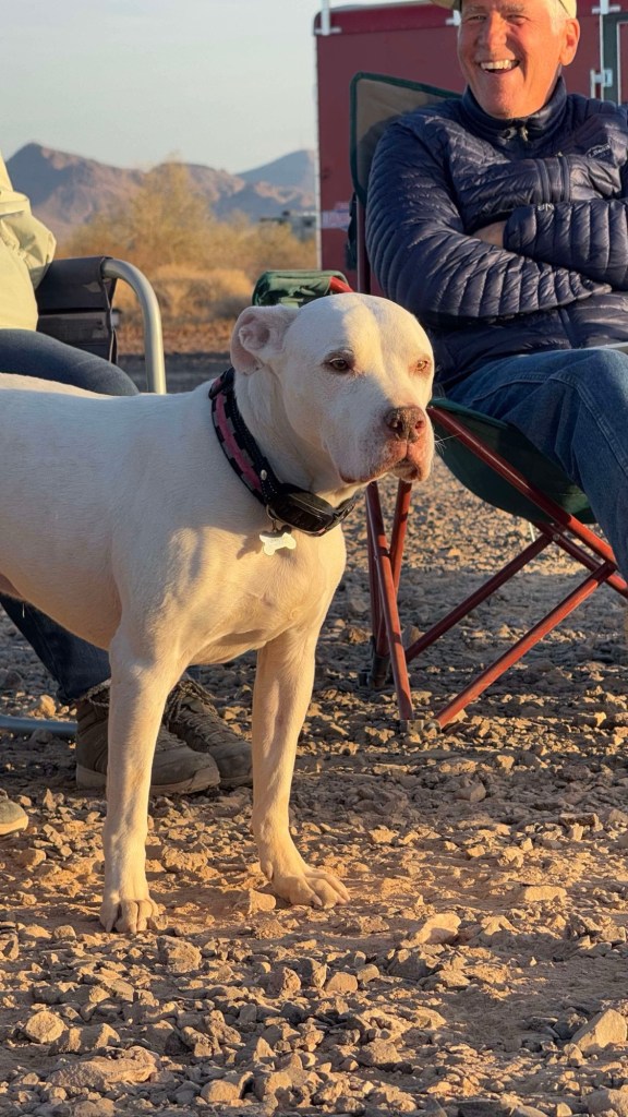 Peter at a potluck at Rolling Vegan Rendezvous in Quartzsite, Arizona. Picture by Happy Vegan Campers