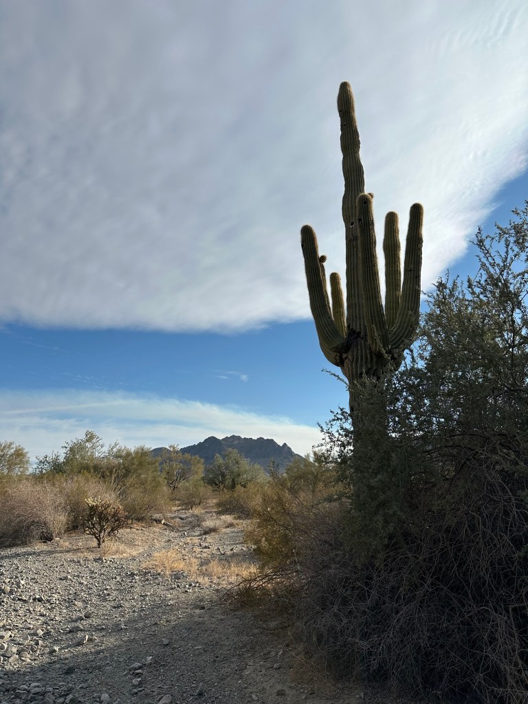 View by Crystal Hill near Quartzsite, Arizona. Picture by Happy Vegan Campers.