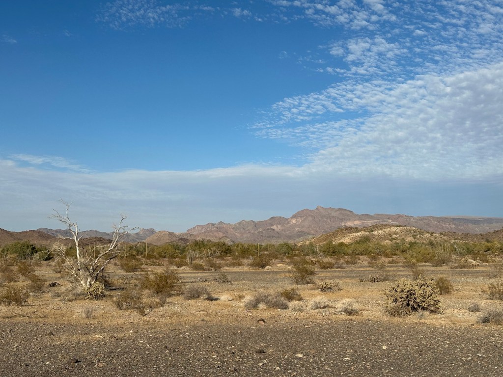 View by Crystal Hill near Quartzsite, Arizona. Picture by Happy Vegan Campers.