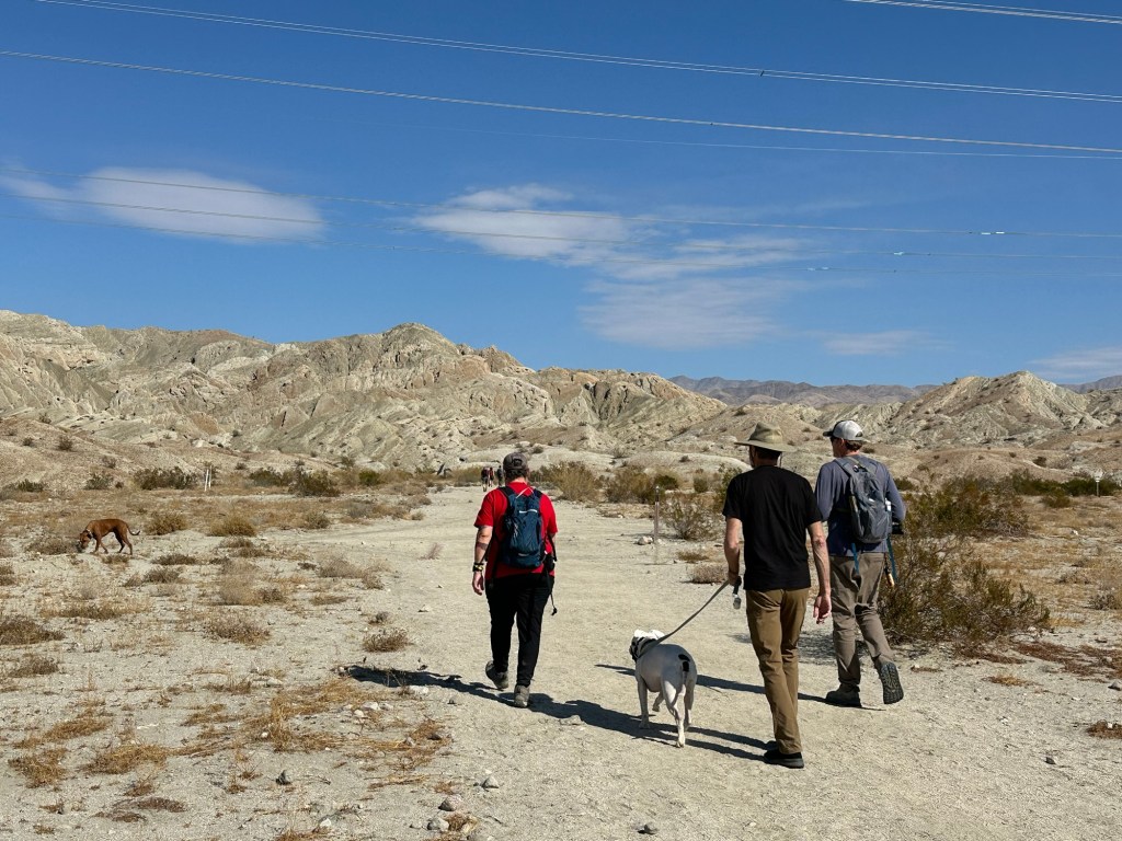 Jen, Peter, Daniel, and Taylor on East Indio Badlands Trail in Indio, California. Picture by Happy Vegan Campers