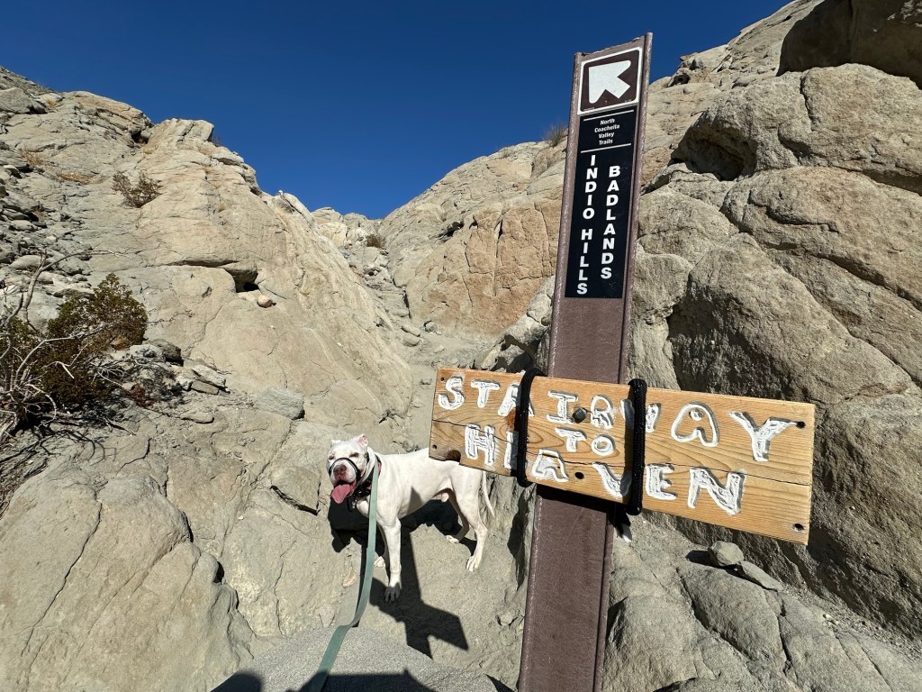 Peter on Stairway to Heaven on East Indio Badlands Trail in Indio, California. Picture by Happy Vegan Campers