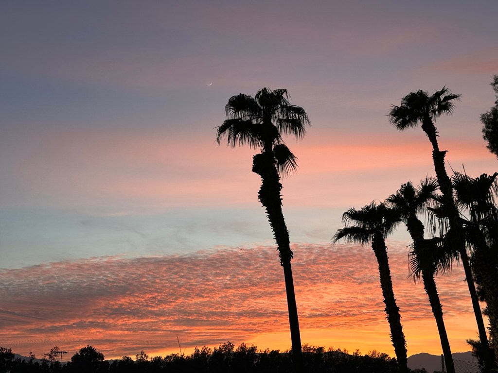 Sunset in Palm Desert, California. Picture by Happy Vegan Campers.