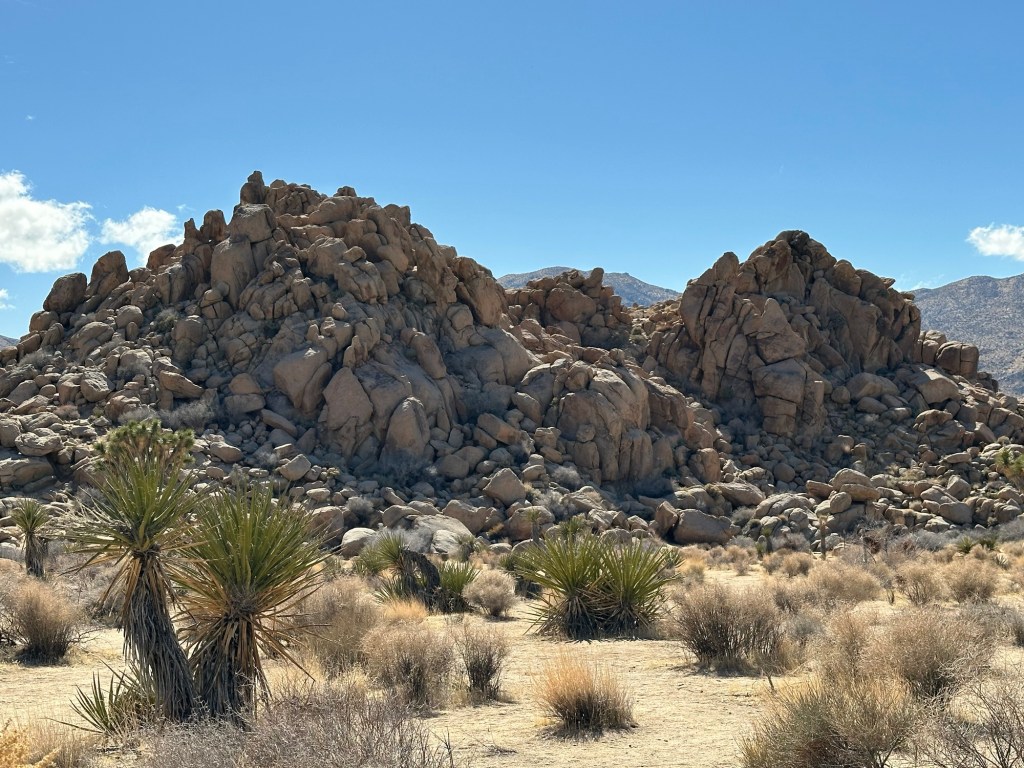 Rock formations in Joshua Tree National Park in California. Picture by Happy Vegan Campers.