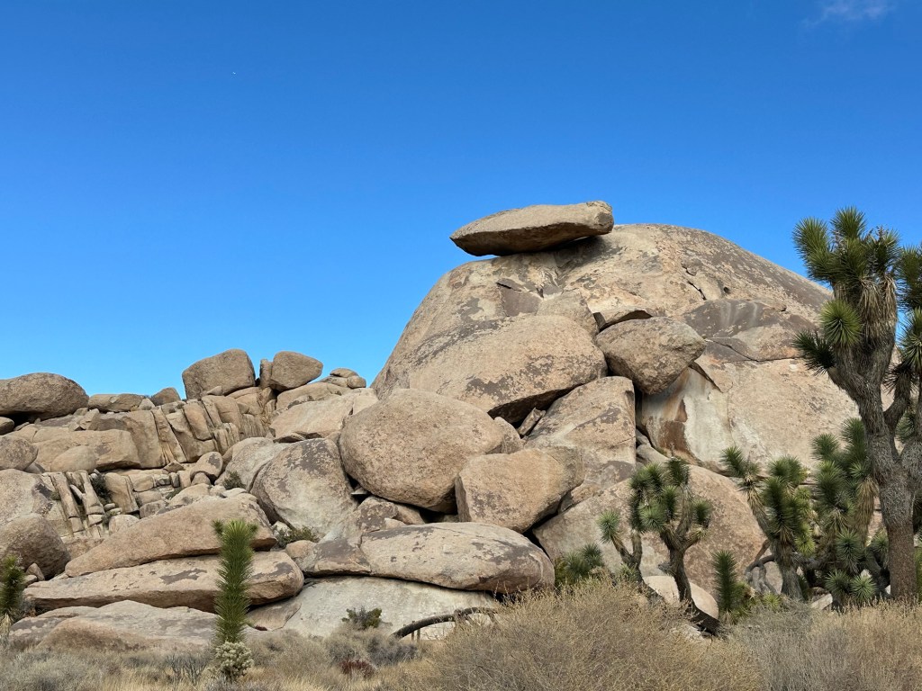 Rocks in Joshua Tree National Park in California. Picture by Happy Vegan Campers.