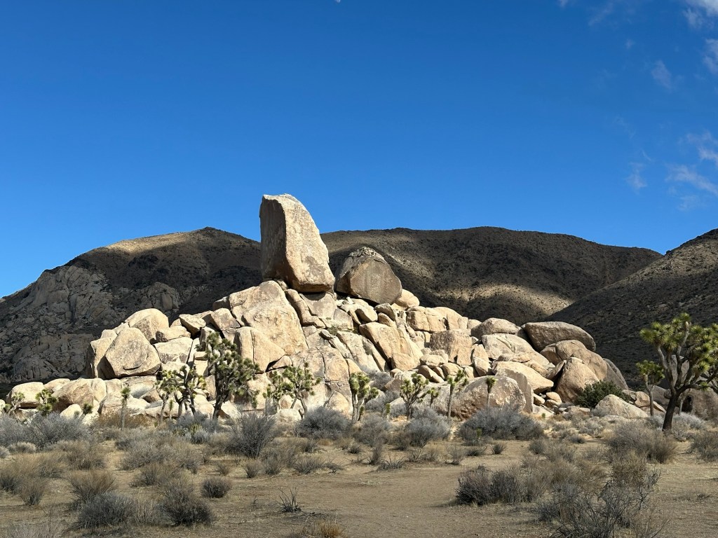 Rocks in Joshua Tree National Park in California. Picture by Happy Vegan Campers.