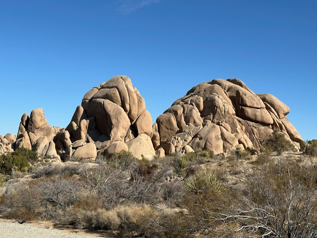 Rocks in Joshua Tree National Park in California. Picture by Happy Vegan Campers.