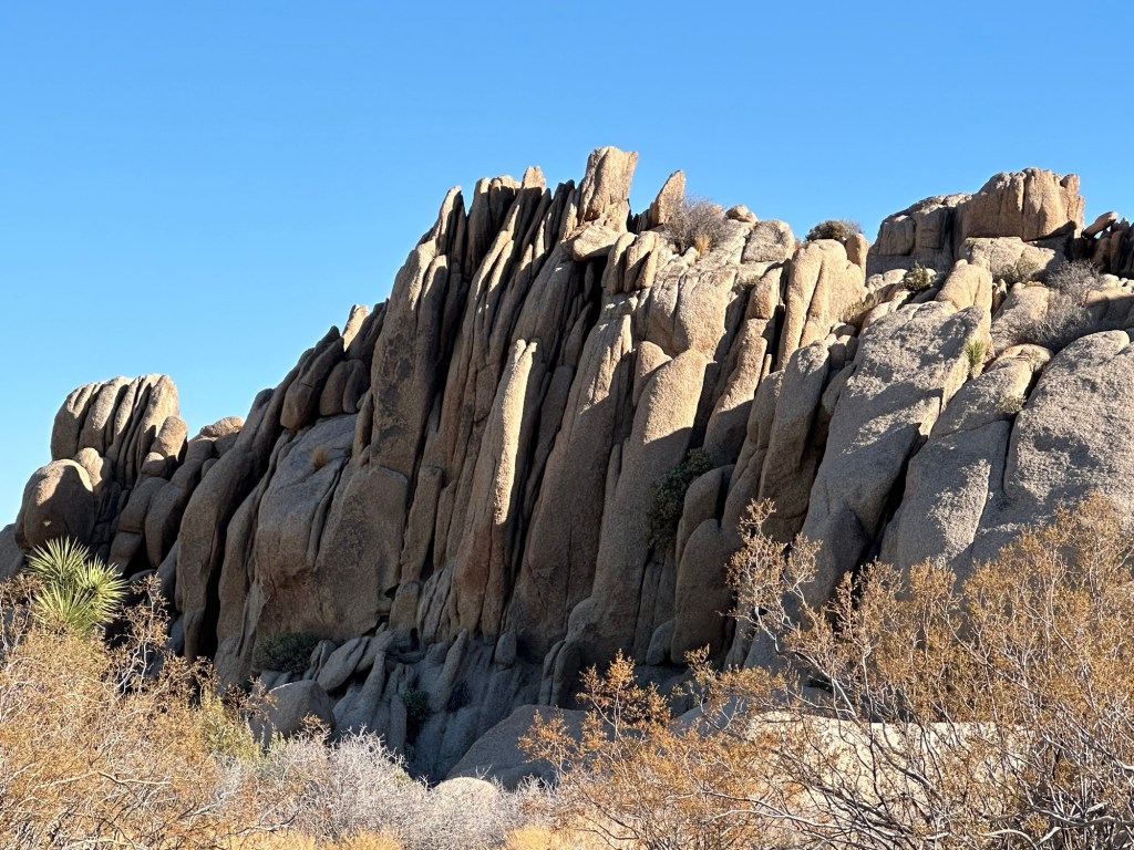 Rocks in Joshua Tree National Park in California. Picture by Happy Vegan Campers.