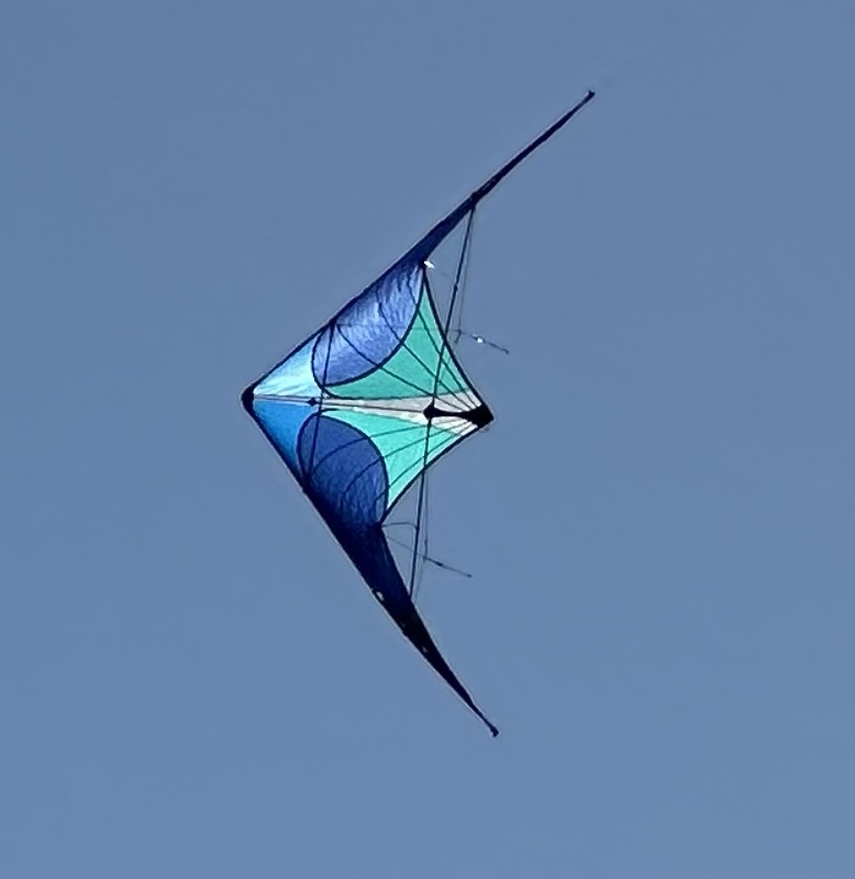 Flying a kite in Fort Mohave, Arizona. Picture by Happy Vegan Campers.