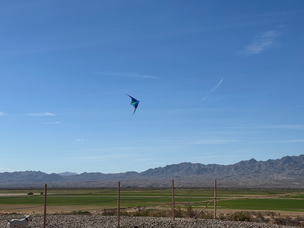 Flying a kite in Fort Mohave, Arizona. Picture by Happy Vegan Campers.