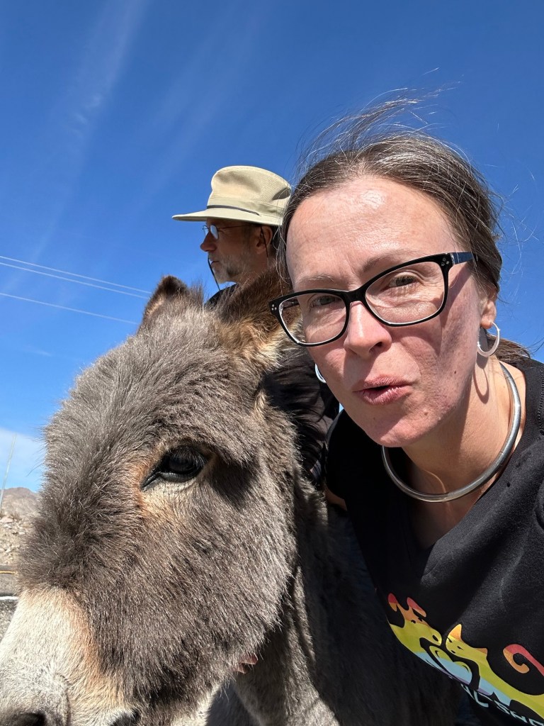 Kristin with baby donkey near Oatman, Arizona. Picture by Happy Vegan Campers.