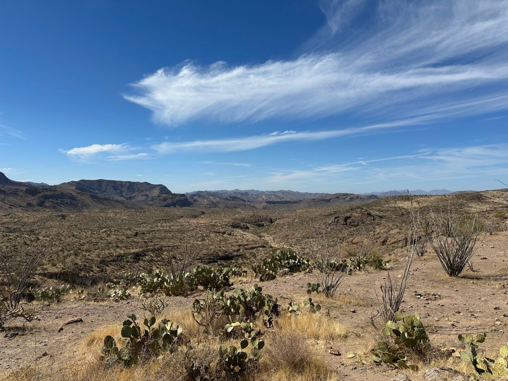 Tonto National Forest in Chandler, Arizona. Picture by Happy Vegan Campers.