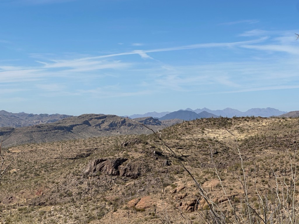 Tonto National Forest in Chandler, Arizona. Picture by Happy Vegan Campers.