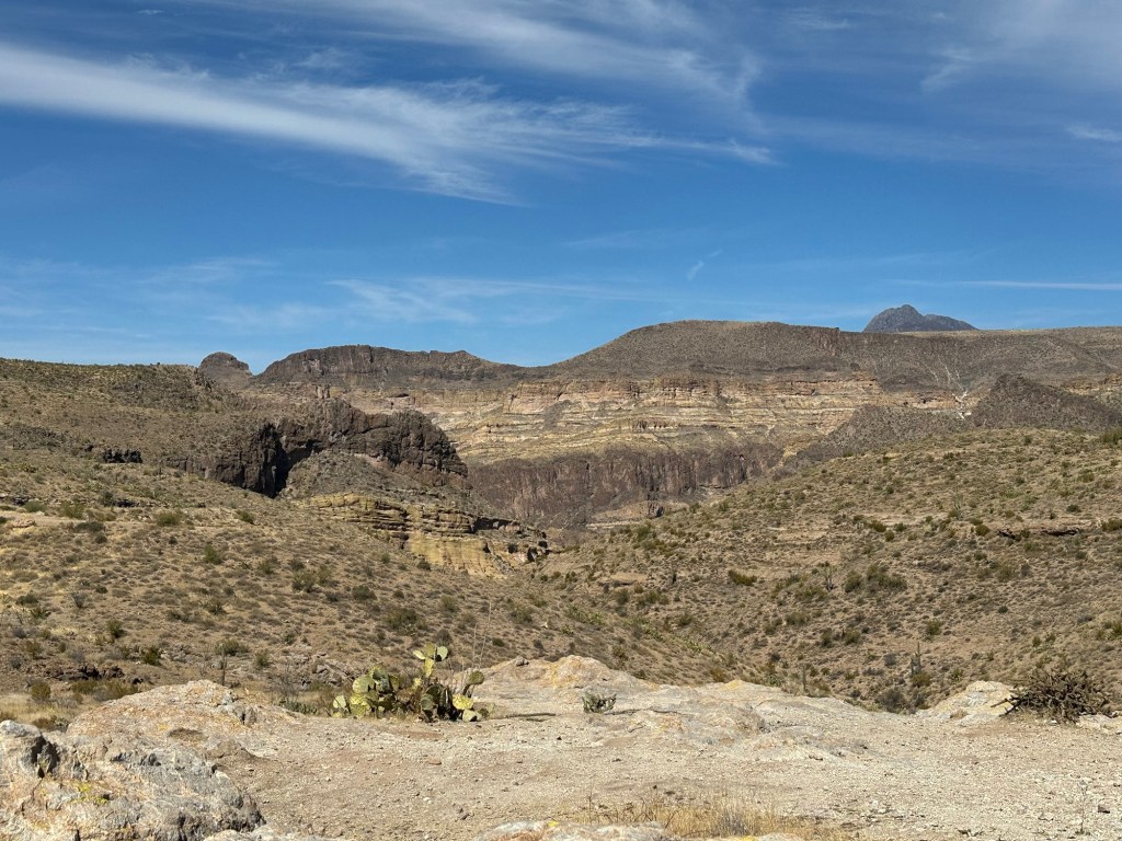Tonto National Forest in Chandler, Arizona. Picture by Happy Vegan Campers.