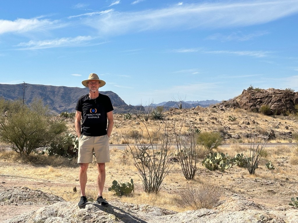 Daniel in Tonto National Forest in Chandler, Arizona. Picture by Happy Vegan Campers.