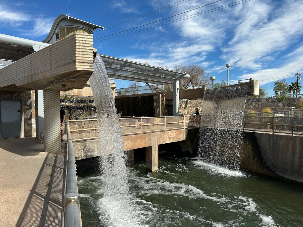 Arizona Falls in Phoenix, Arizona. Picture by Happy Vegan Campers.