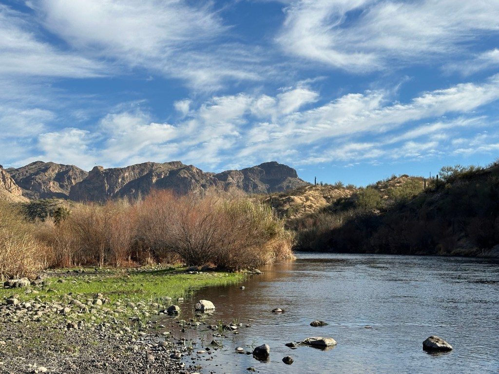 Salt River in Tonto National Forest. Picture by Happy Vegan Campers.