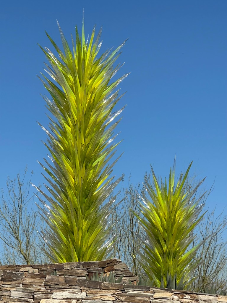 Desert Botanical Garden in Phoenix, Arizona. Picture by Happy Vegan Campers.