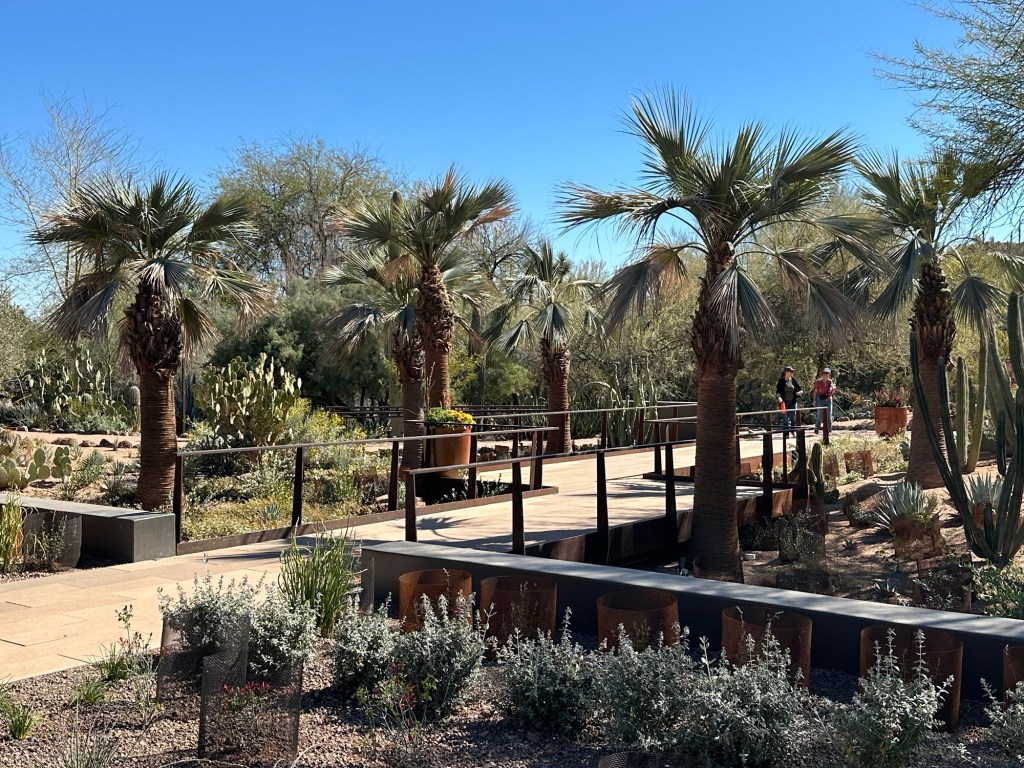 Desert Botanical Garden in Phoenix, Arizona. Picture by Happy Vegan Campers.