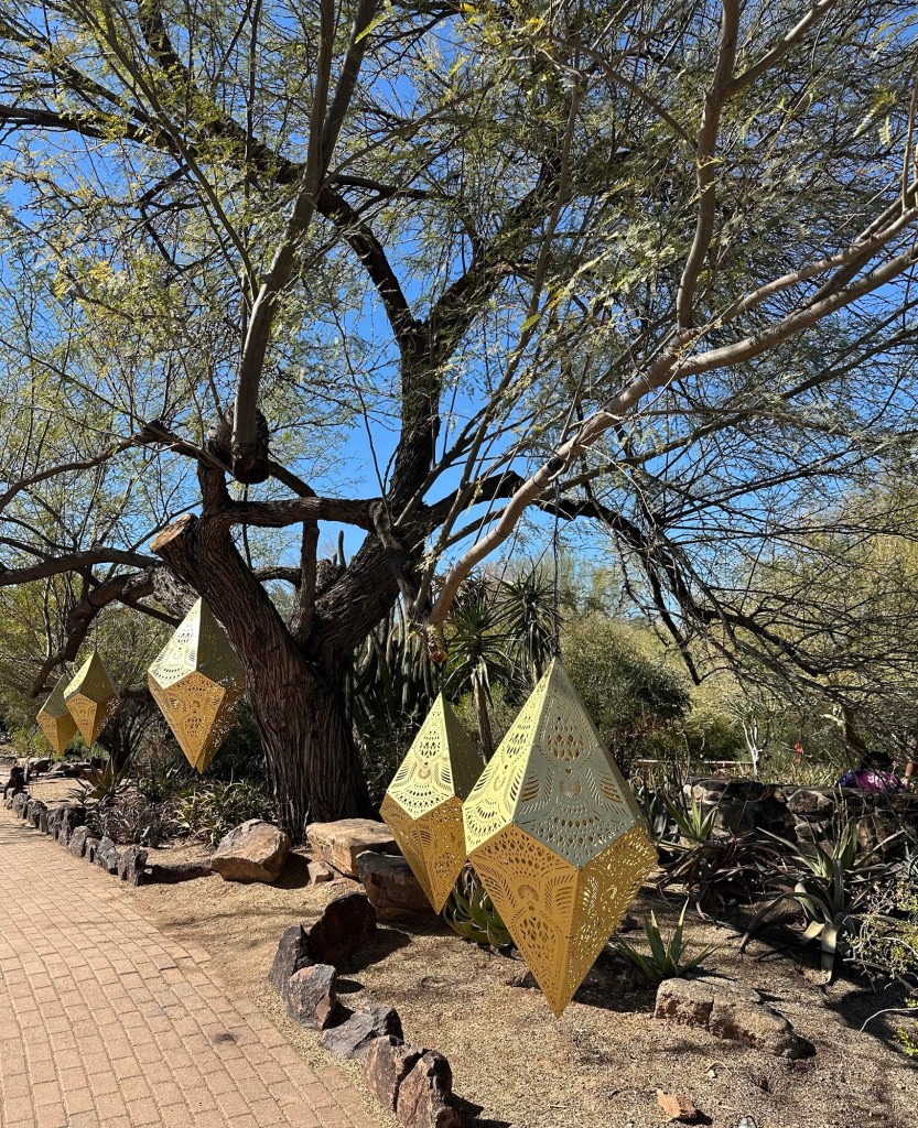 Desert Botanical Garden in Phoenix, Arizona. Picture by Happy Vegan Campers.