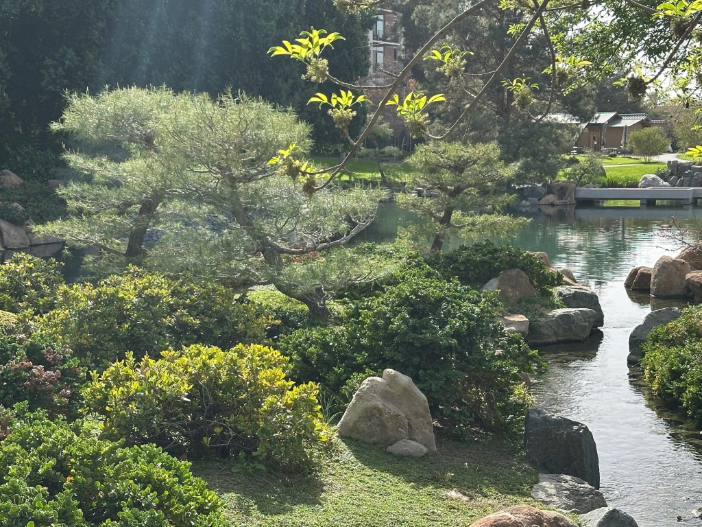 Japanese Friendship Garden in Phoenix, Arizona. Picture by Happy Vegan Campers.
