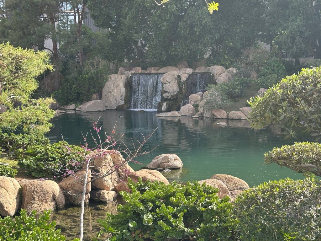 Japanese Friendship Garden in Phoenix, Arizona. Picture by Happy Vegan Campers.