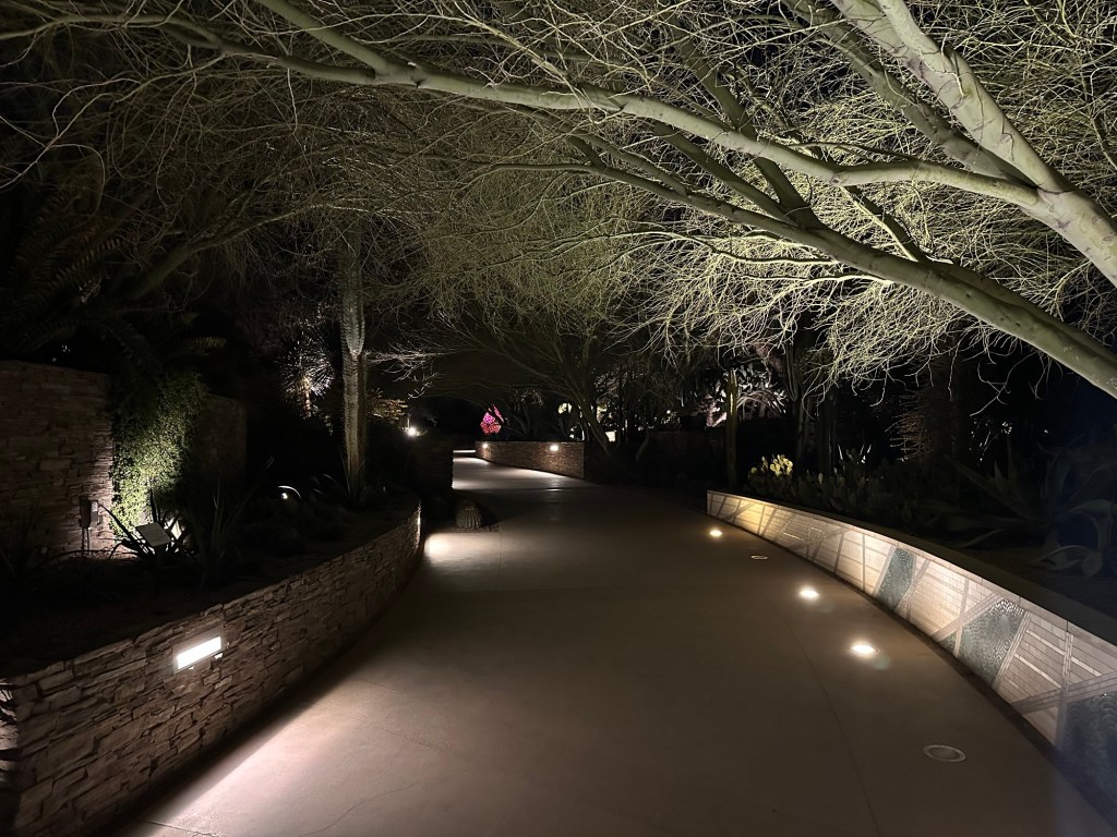 Desert Botanical Garden in Phoenix, Arizona. Picture by Happy Vegan Campers.