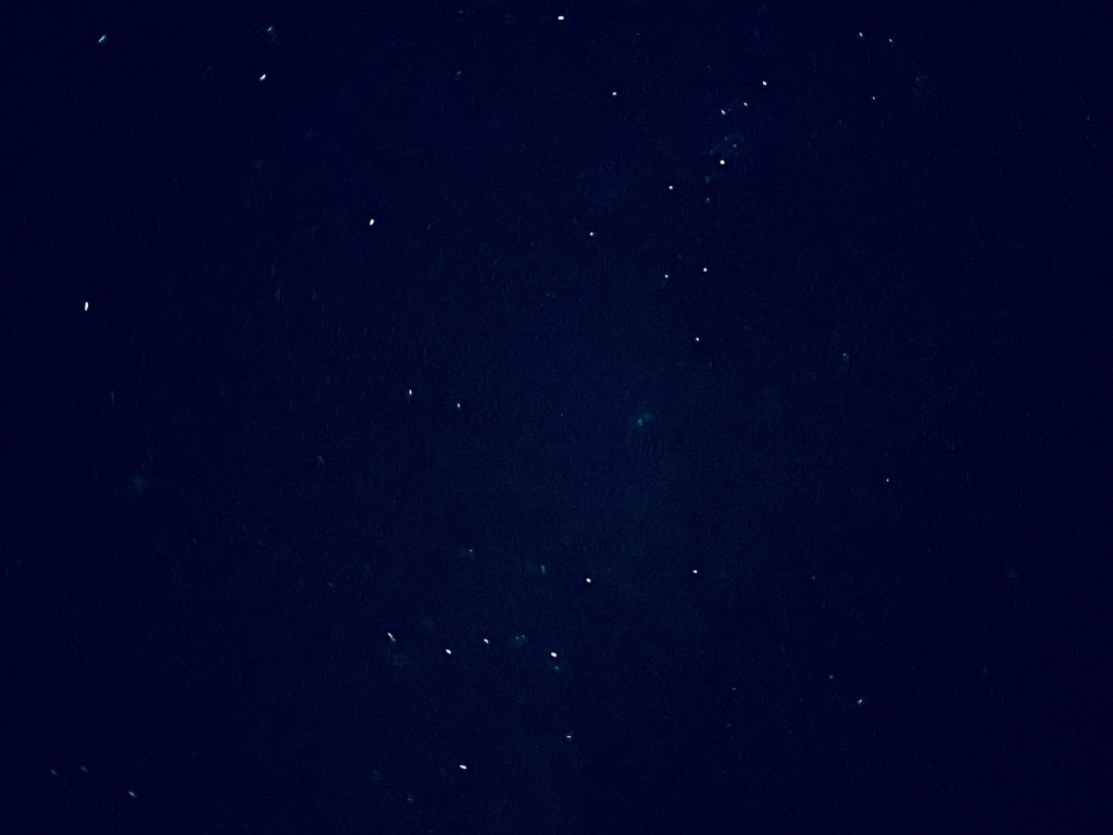 Night sky in Quartzsite, Arizona. Picture by Happy Vegan Campers.