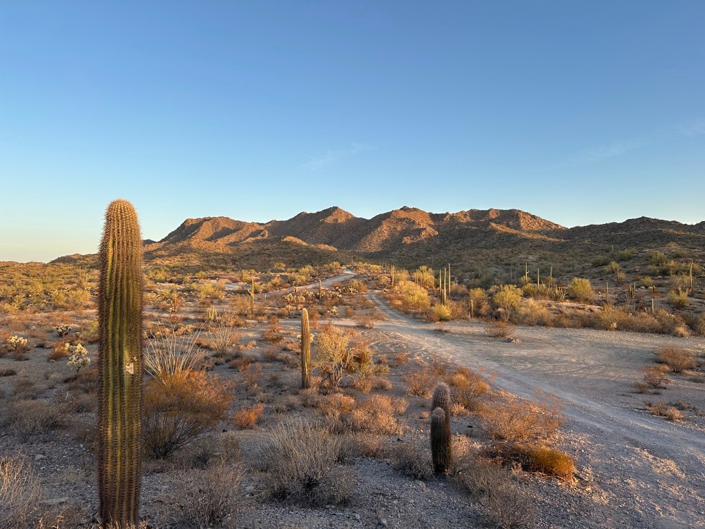 Sunrise in Ajo, Arizona. Picture by Happy Vegan Campers.