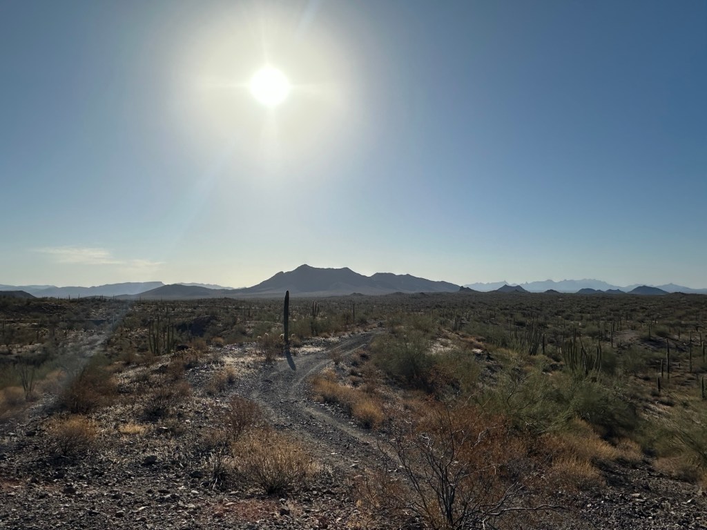 Morning in the desert in Ajo, Arizona. Picture by Happy Vegan Campers.
