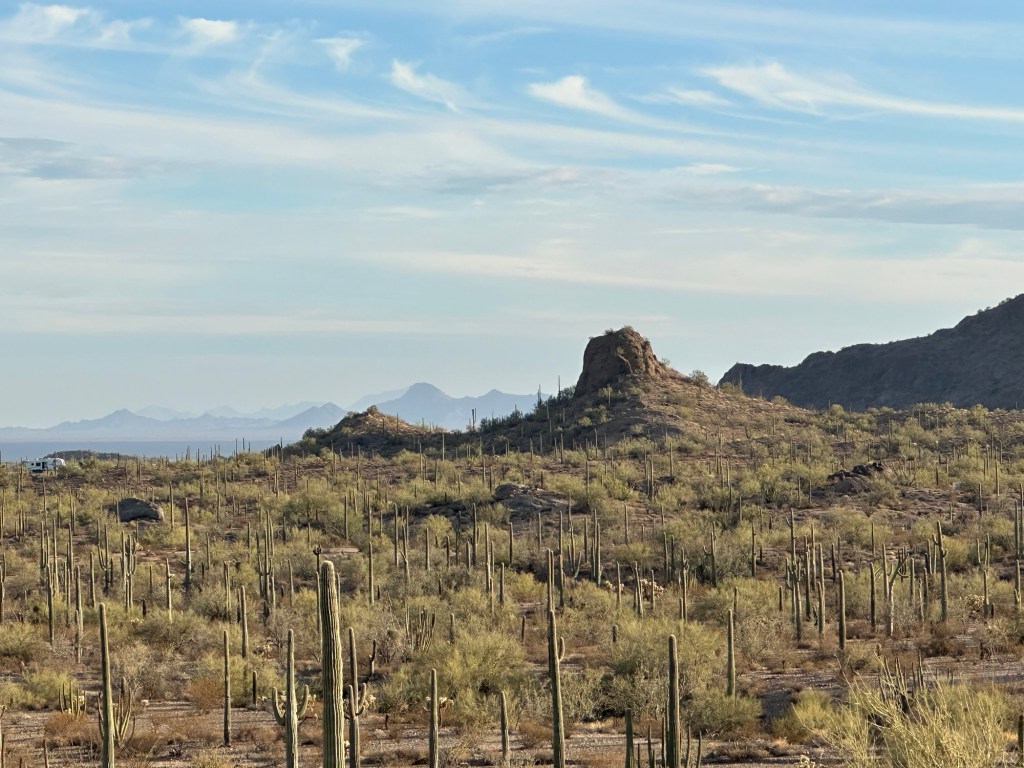 BLM desert in Ajo, Arizona. Picture by Happy Vegan Campers.