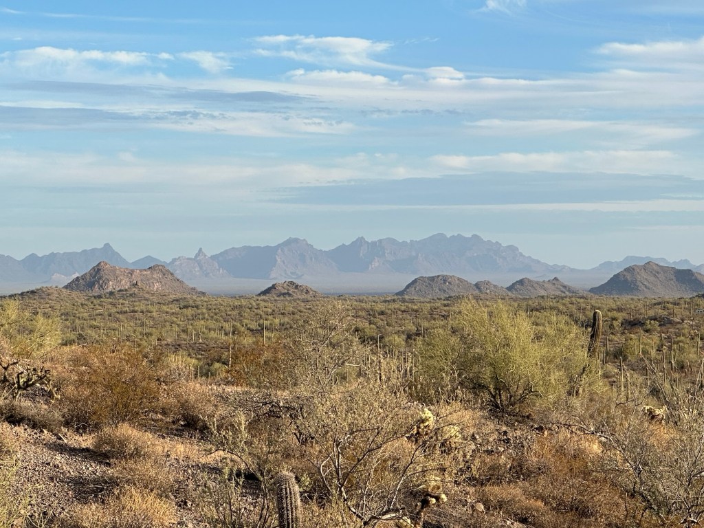 BLM desert in Ajo, Arizona. Picture by Happy Vegan Campers.