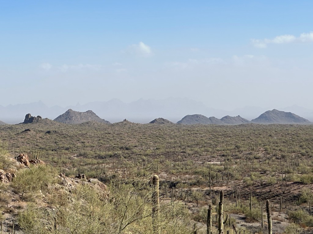 BLM desert in Ajo, Arizona. Picture by Happy Vegan Campers.