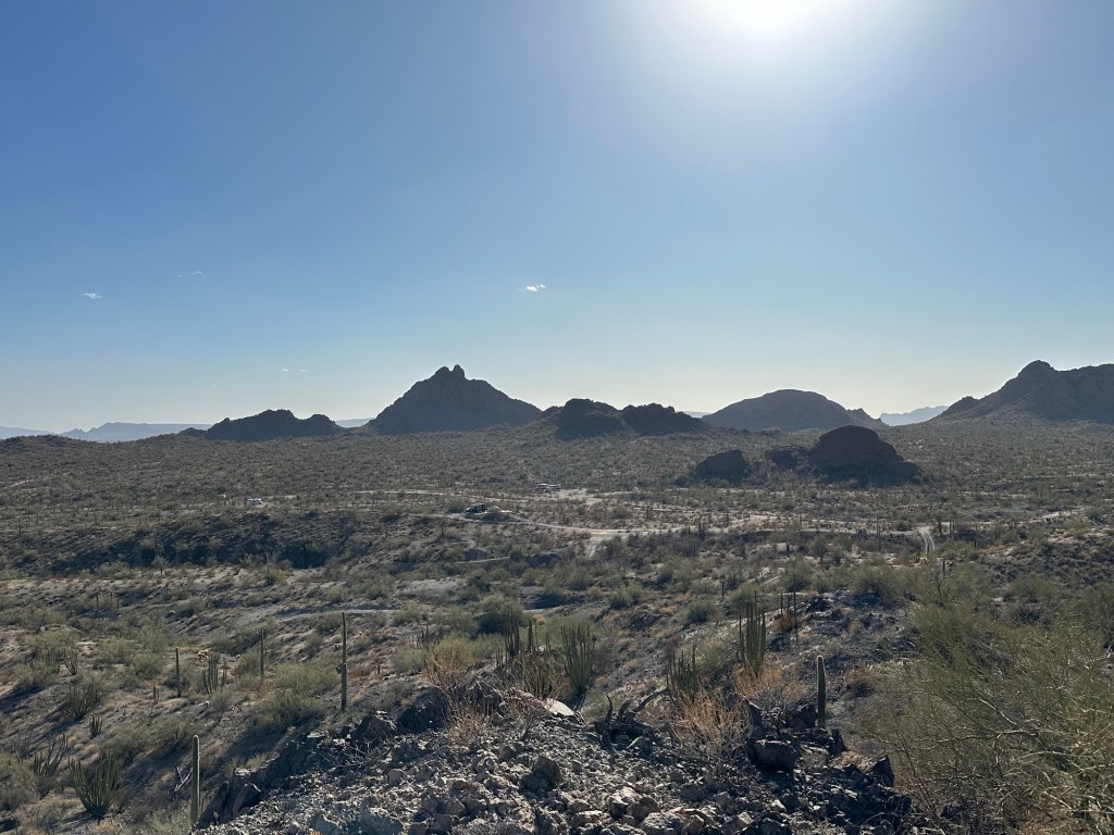 BLM desert in Ajo, Arizona. Picture by Happy Vegan Campers.