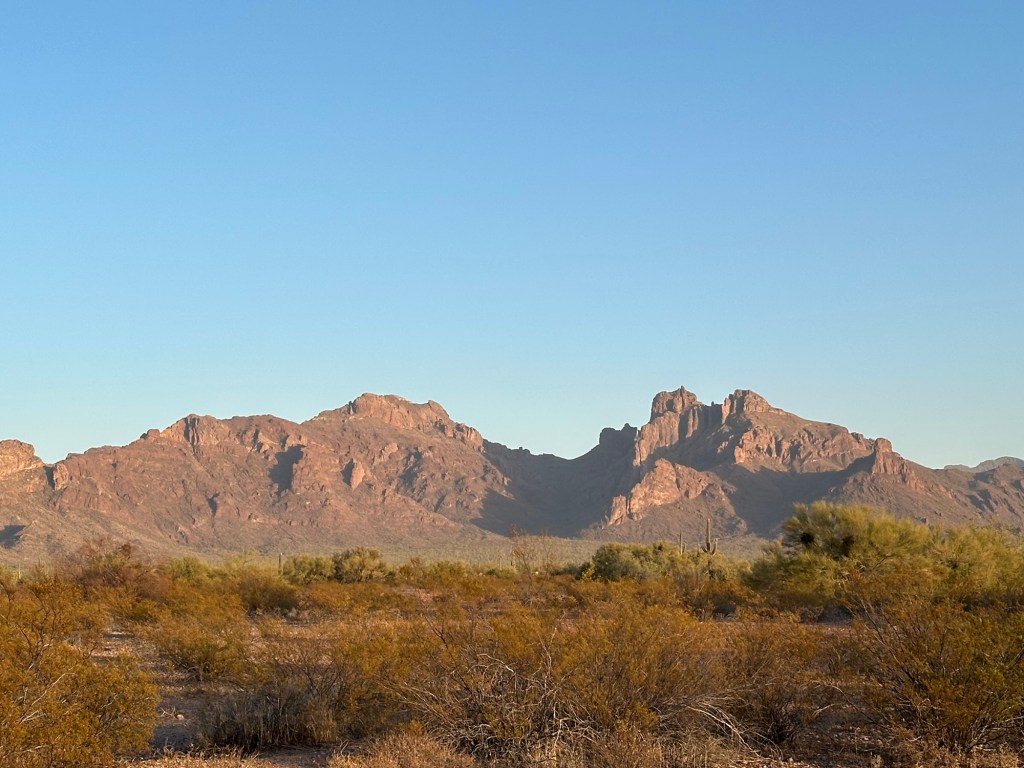 Organ Pipe National Monument in Arizona. Picture by Happy Vegan Campers.