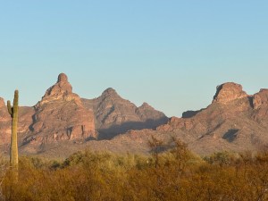 Organ Pipe National Monument in Arizona. Picture by Happy Vegan Campers.