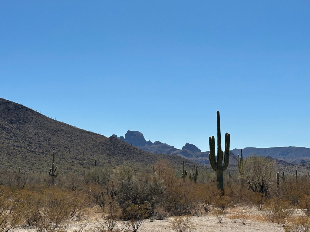 View from El Camino Del Diablo in Ajo, Arizona. Picture by Happy Vegan Campers.