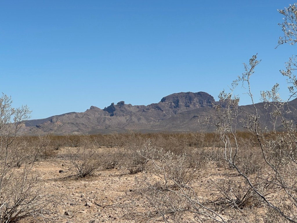 View from El Camino Del Diablo in Ajo, Arizona. Picture by Happy Vegan Campers.