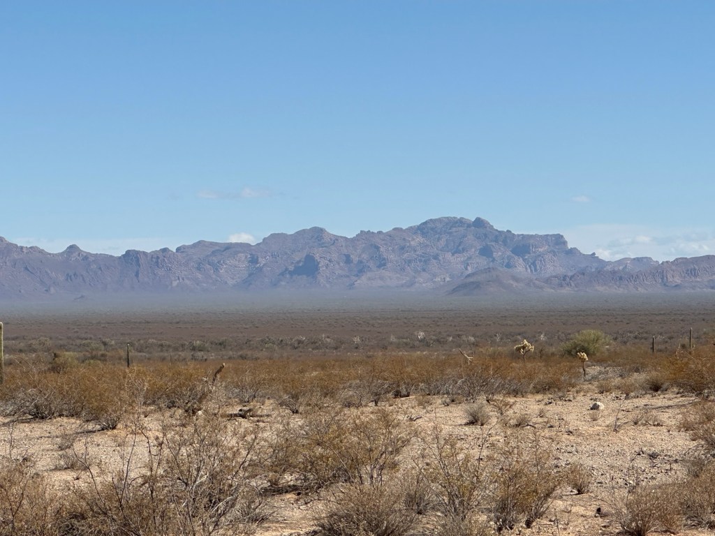 View from El Camino Del Diablo in Ajo, Arizona. Picture by Happy Vegan Campers.