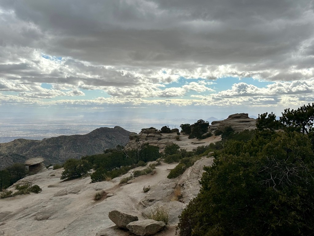 View from Windy Vista Point on Mt. Lemmon in Mt. Lemmon, Arizona. Picture by Happy Vegan Campers.