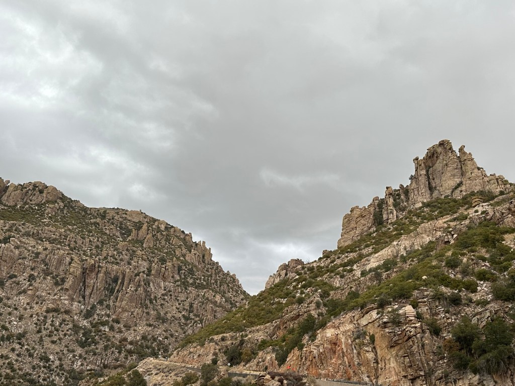 View of Mt. Lemmon area in Mt. Lemmon, Arizona. Picture by Happy Vegan Campers.