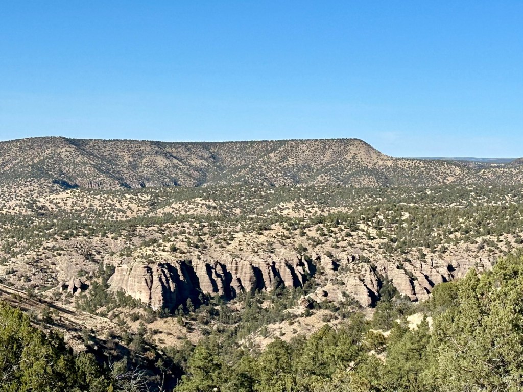 Gila National Forest in New Mexico. Picture by Happy Vegan Campers.